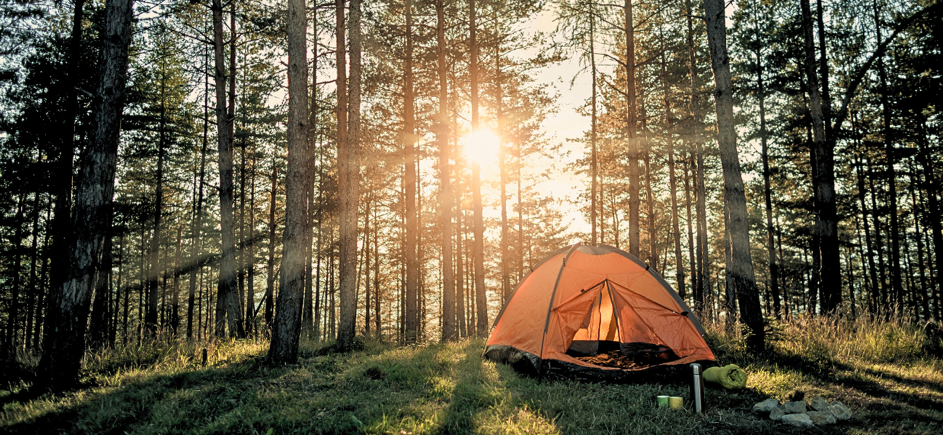🏕️ Survival i biwak bez stresu – 16 gadżetów, które mogą uratować Twój wyjazd
